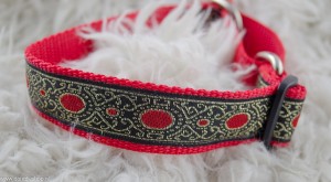 Martingale halsband 2,5 cm breed rood