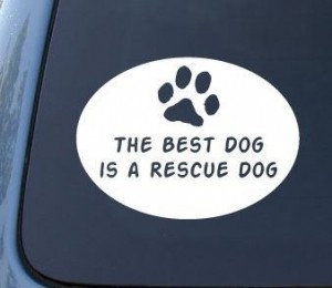 sticker auto the best dog is a rescue dog