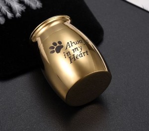 mini urn hond RVS goud