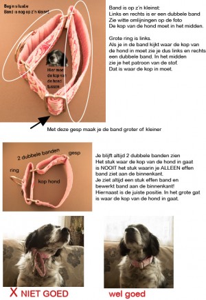 Martingale hondenhalsband omdoen instructie