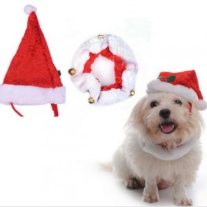 Kerst setje hond