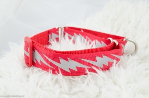 martingale halsband rood flits