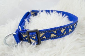 Martingale halsband blauw goud