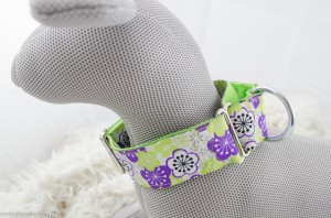 Martingale halsband lime paars