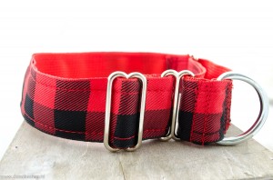 Martingale halsband rood geblokt