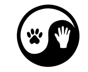 Sticker yin yang hond auto