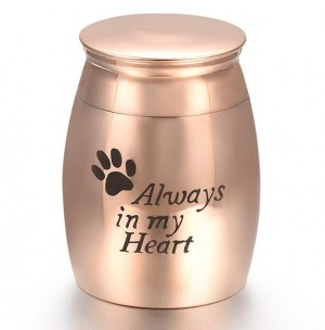 mini urn hond RVS goud rose