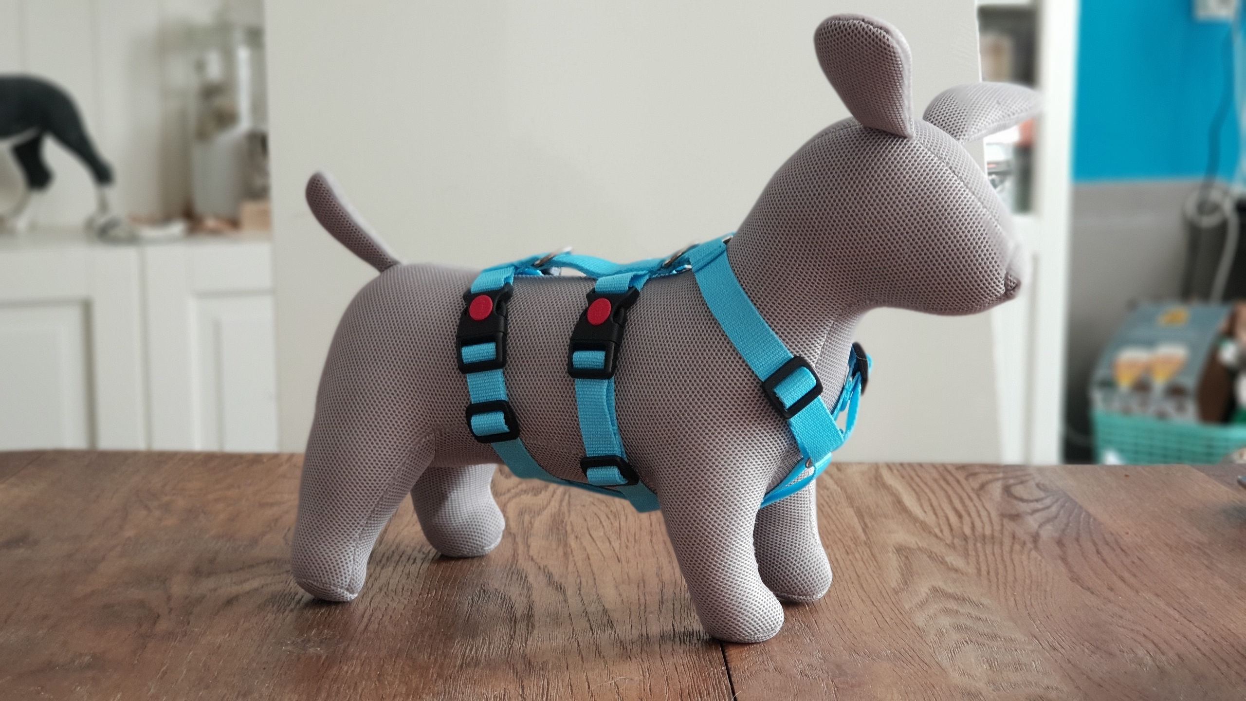 Kaal Metafoor robot Veiligheidstuigjes - Amor para Perros donatiewinkel liefde voor honden