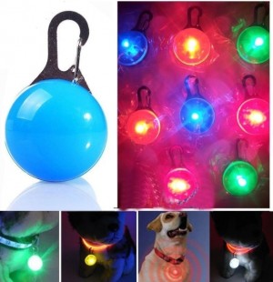 led lampje hond