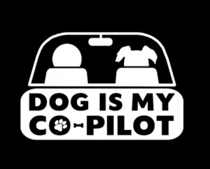Sticker Dog is my Co Pliot